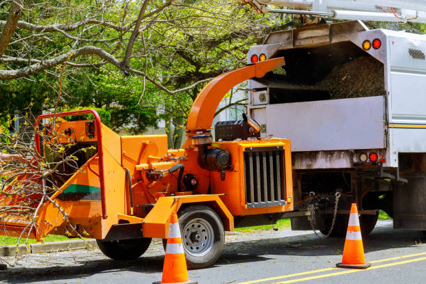 Lawn Drainage Solutions in Iron River, MI