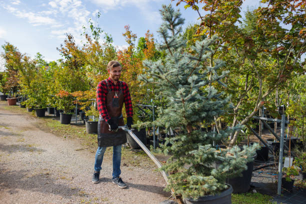 Soil Testing and Treatment in Iron River, MI